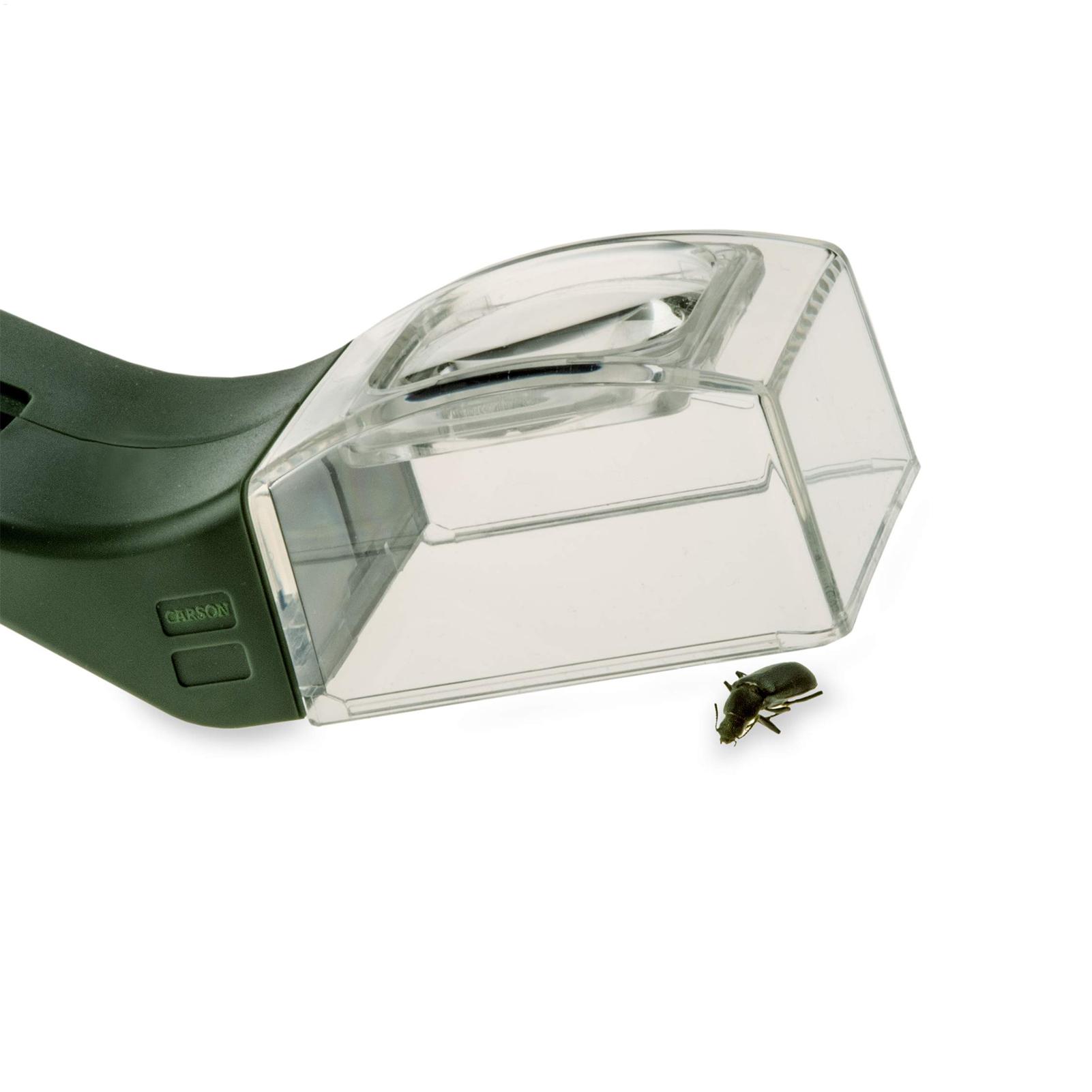 Gardening Tools Girls - Loupe pour enfants 5X, loupe à