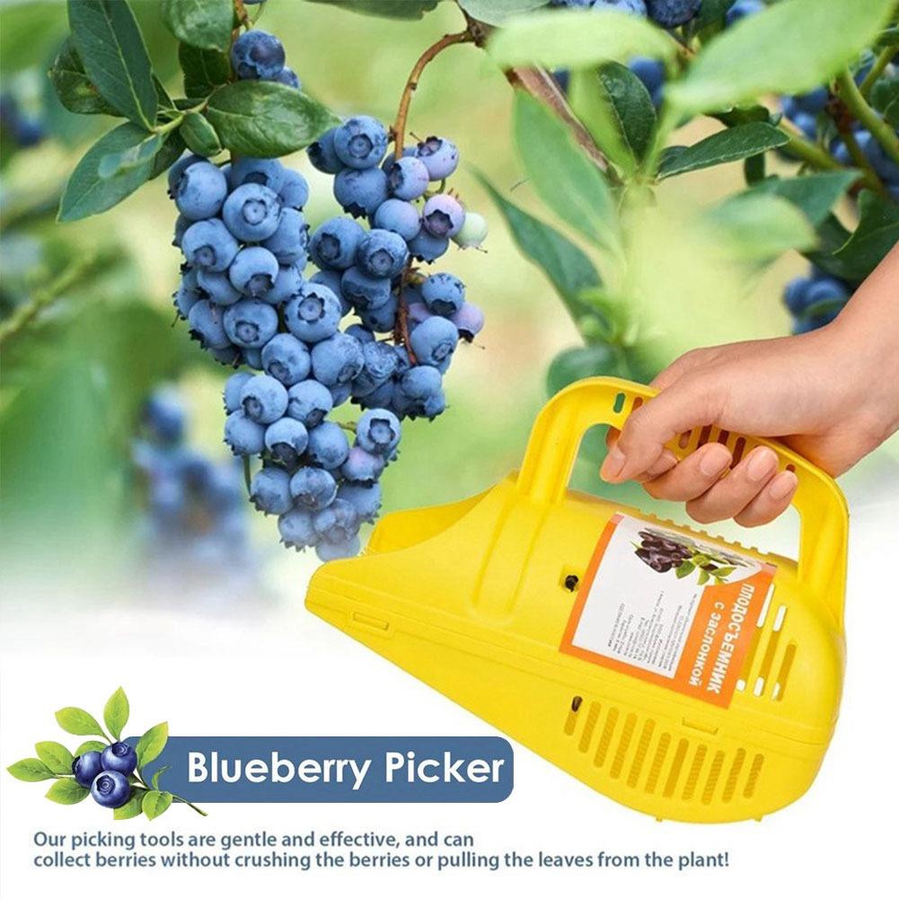Outil de cueillette de myrtill - Gardening Tools Must Haves avis et prix