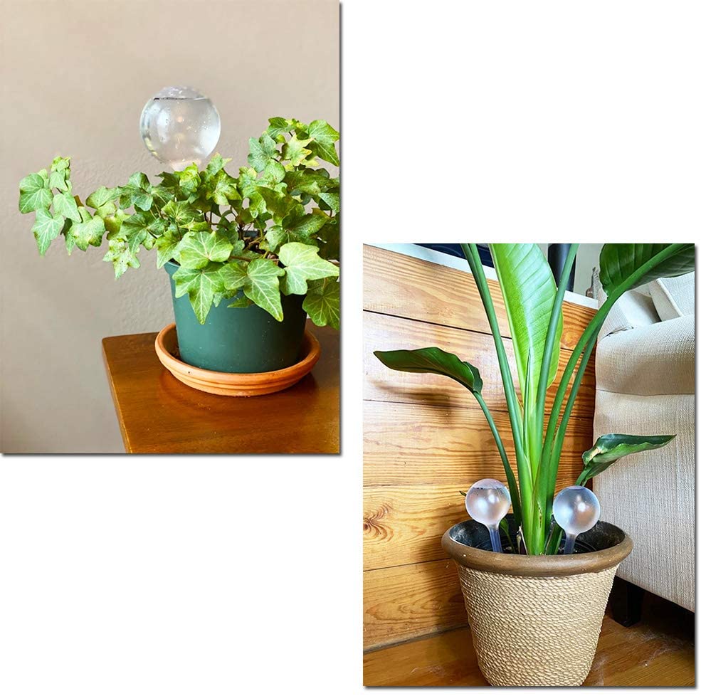 Distributeur automatique d'eau - Automatic Plant Waterer avis et prix