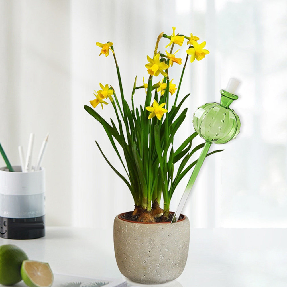 Arroseur automatique à aiguill - Automatic Plant Waterer avis et prix